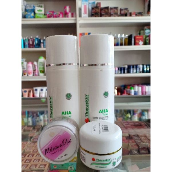 Theraskin Paket Melasma Plus