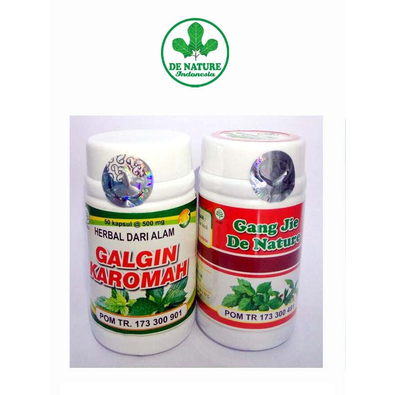 obat batu ginjal di apotik k24