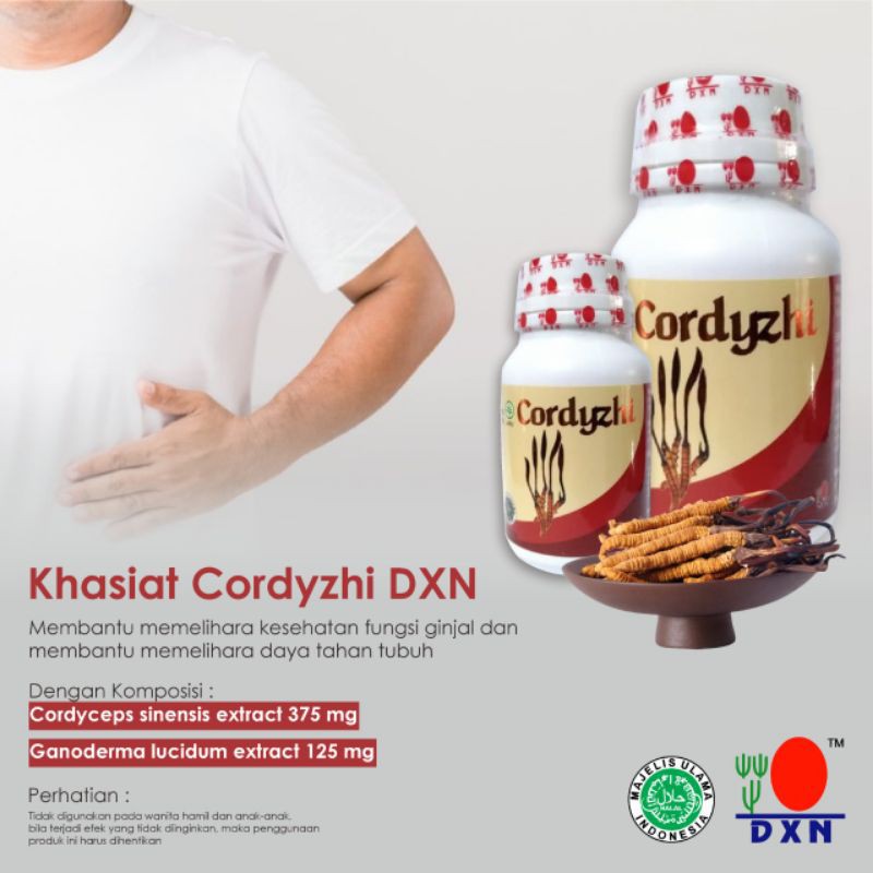 DXN Cordyzhi - Herbal Penyakit Batu Ginjal - 90 Kapsul