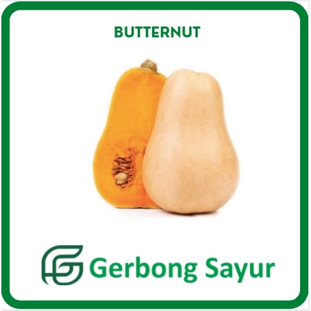 

Sayur Labu Madu / Butternut Pumpkin / Butter Nut - 1 Kg