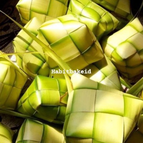 

Kulit Ketupat lebaran Sarang Ketupat Janur Ketupat anyaman Ketupat sayur anyaman Ketupat Ketan anyaman Ketupat sate