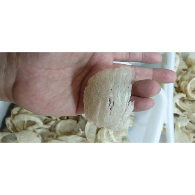 

Sarang Burung Walet Mangkok (Bird Nest) SP1 100 gram | Minuman