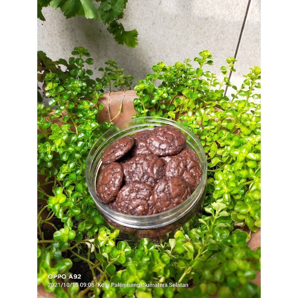 

Pempek bunan brownis coklat kering/ brownies cookies pouch 40gr