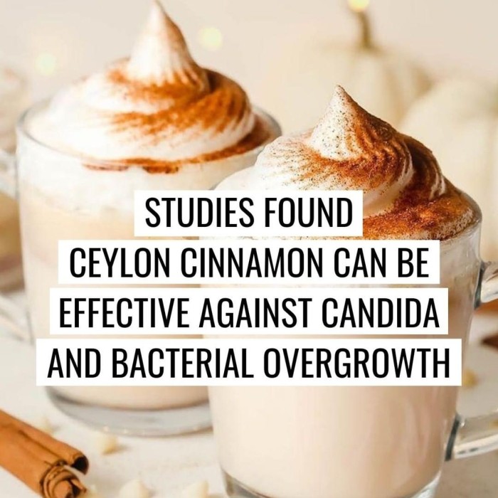 

Roxx.ea - .ea - .ea - Kayu Manis Bubuk Asli Ceylon Cinnamon Ground