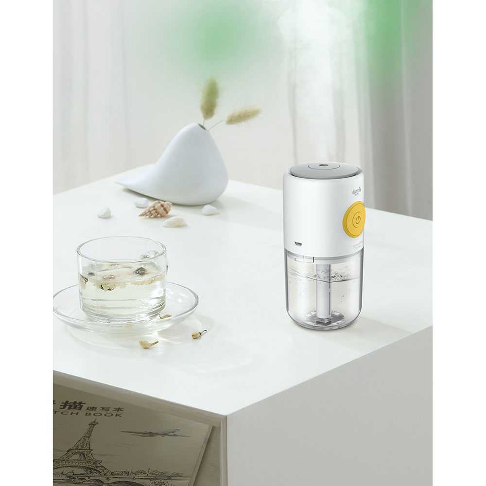 Portable Mini Air Humidifier Aromatherapy DEM-LM09