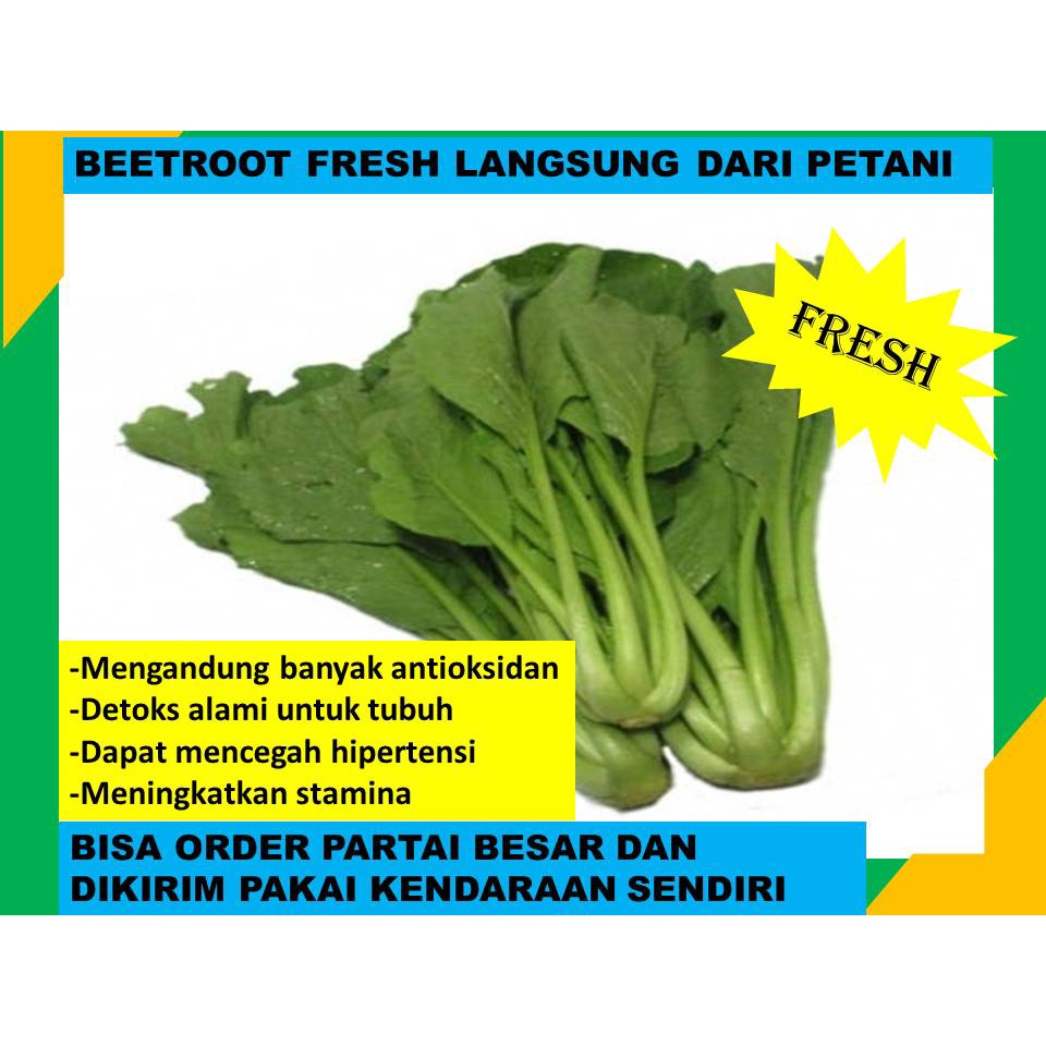 

Baby Caisim Sawi Fresh Langsung Dari Petani