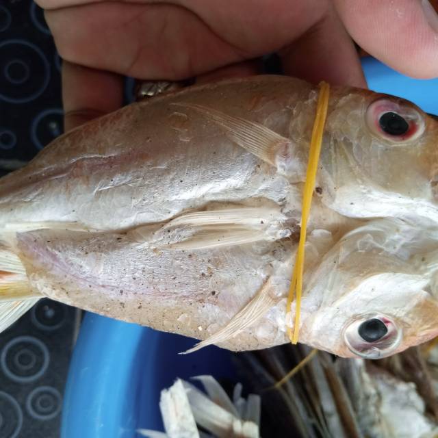 

Ikan asin asli bangka