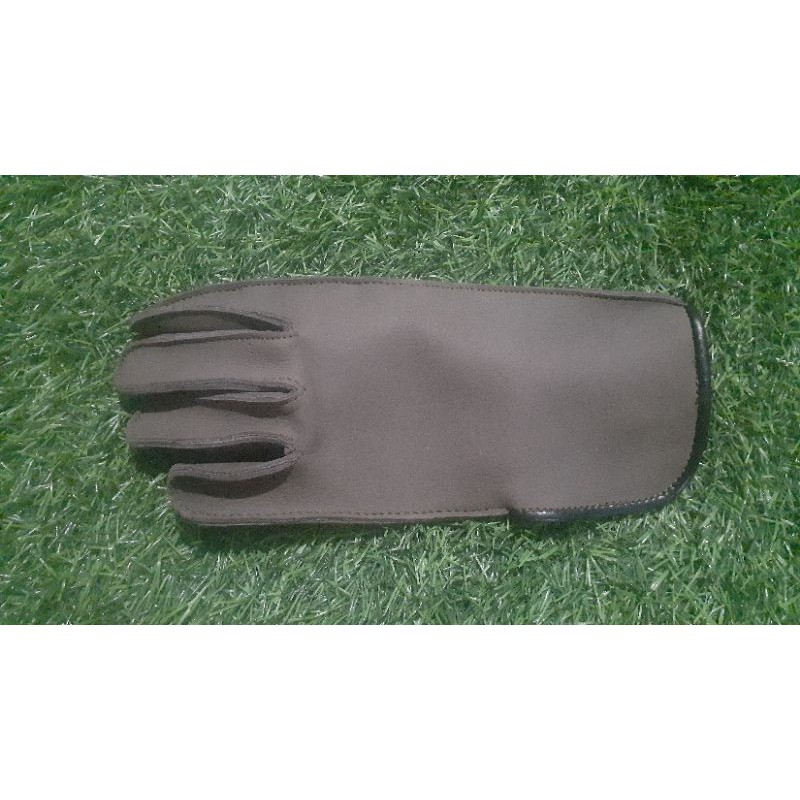 Glove Falconry Vietnam Style