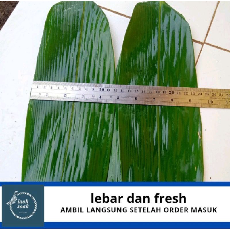 

daun bambu bacang / satu ikat isi 200 lembar