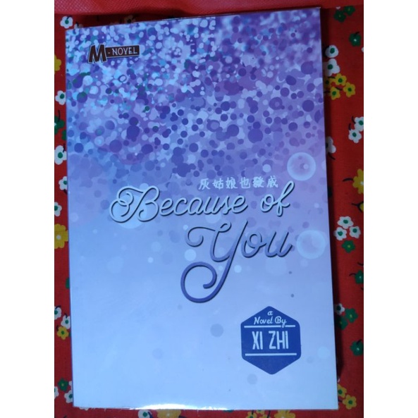 Preloved Novel Terjemahan Mandarin Haru Because Of You Xi Zhi