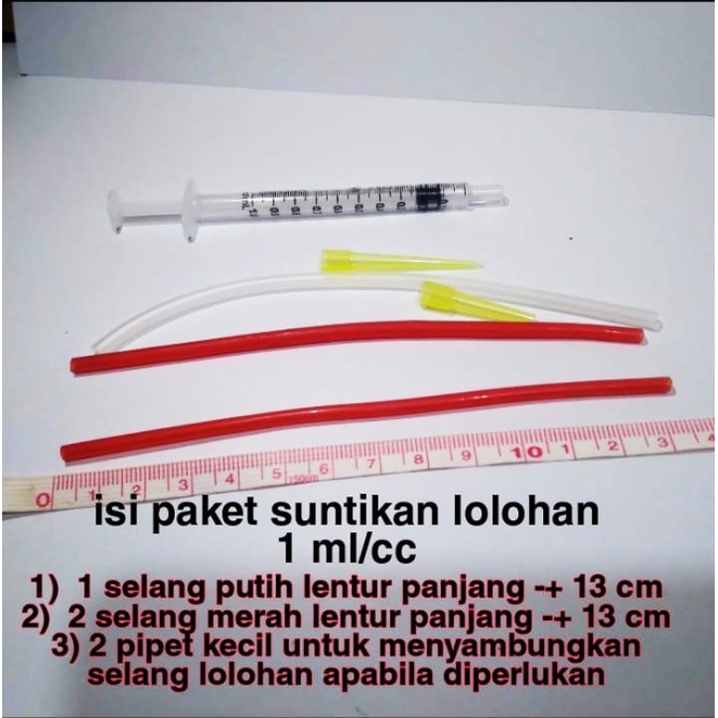 Suntikan Spet Lolohan Makan Anak Lovebird Kucing Musang Kelinci Anjing Marmut Hamster Kura Kura