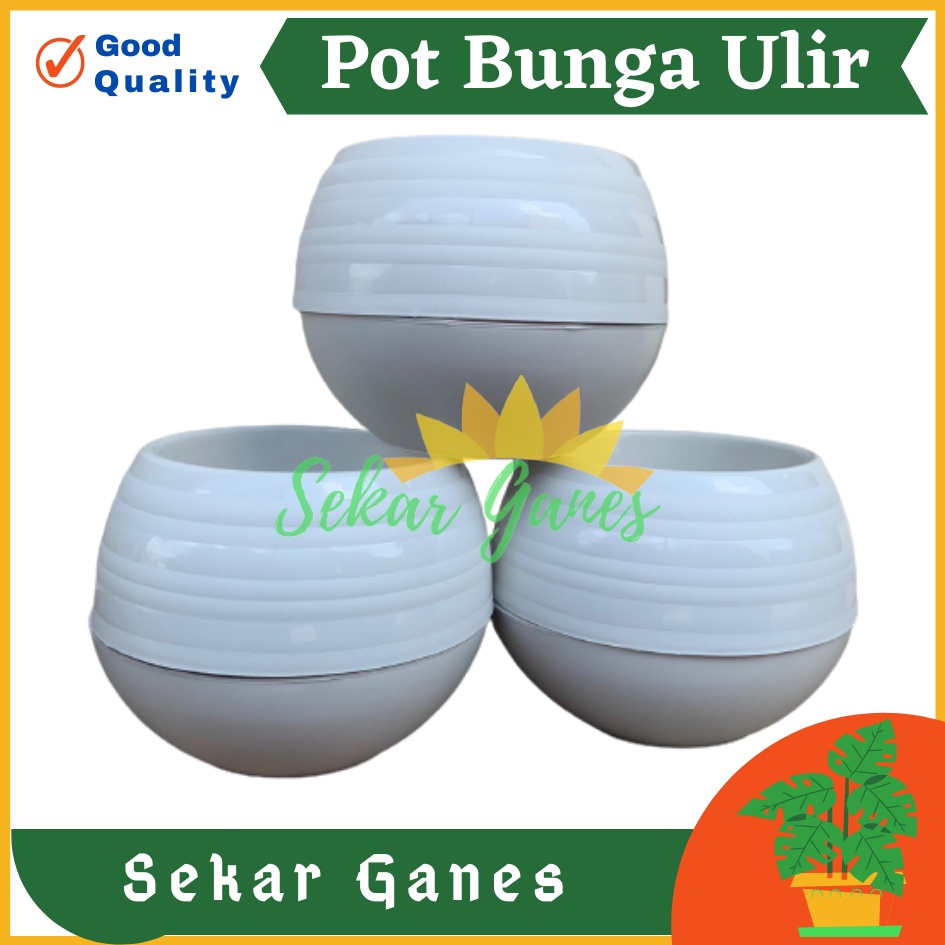 Pot Bola Ulir Putih Motif Pot Tawon Tanaman Bunga Plastik Jozaka - Pot Bola Mini Plastik Putih Bunga Pot Bunga Cantik Pot Bola Pot Plastik Putih