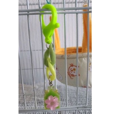 Kunci kandang cage lock sugar glider