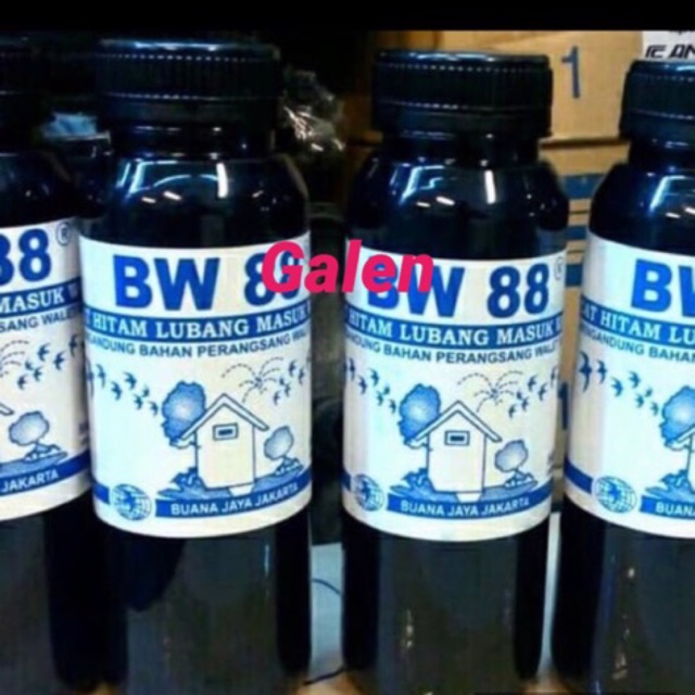 BW 88 Cat Hitam lubang masuk rumah walet