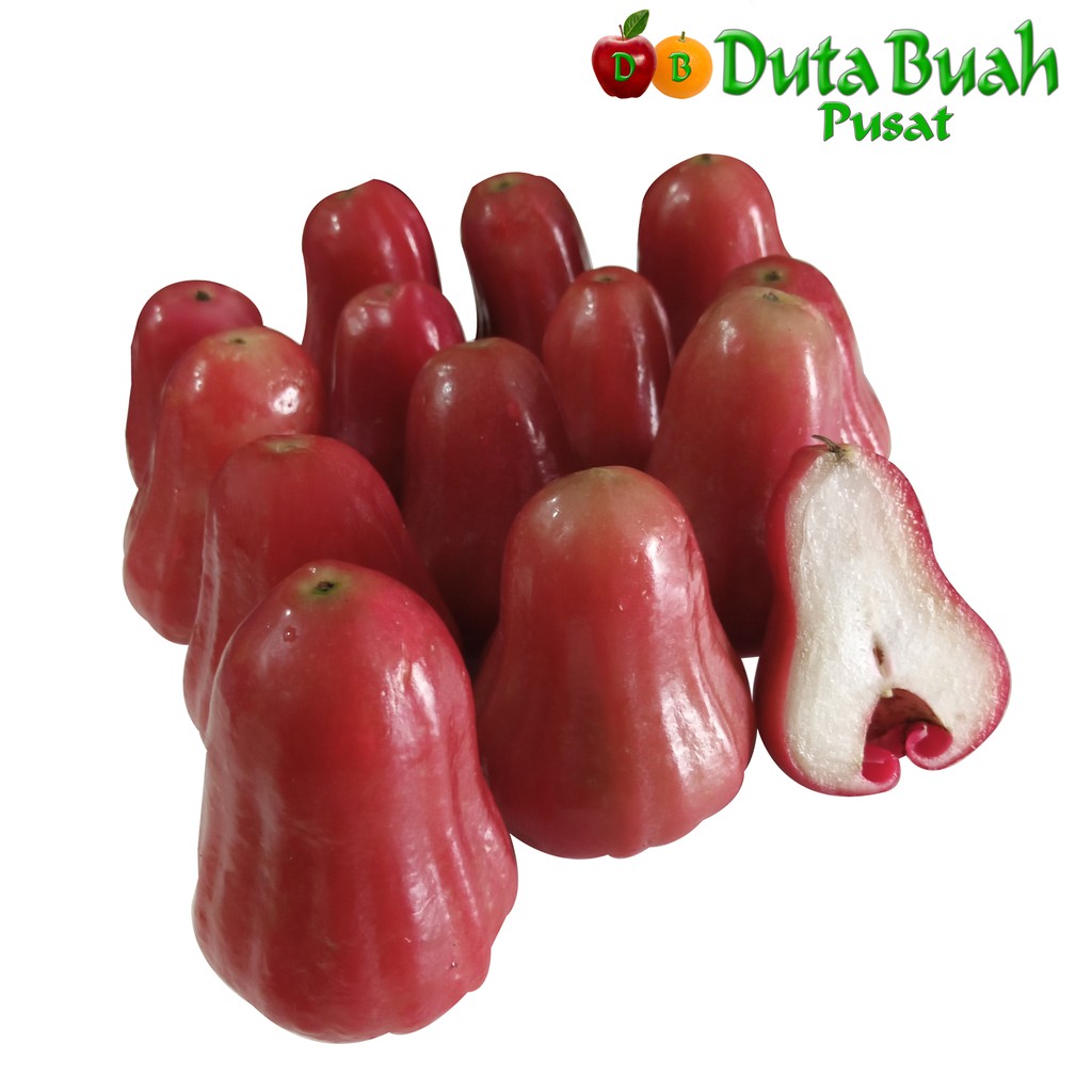 

DUTA BUAH Jambu Apel Rose Bangkok (+-900g - 1kg)