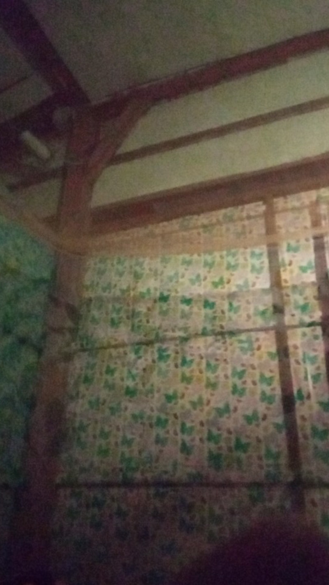 Deep Wok Frypan 24cm Maxim Valentino