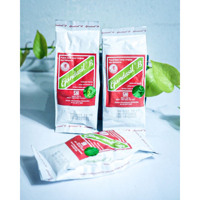 gandasil B pupuk bunga dan buah NPK