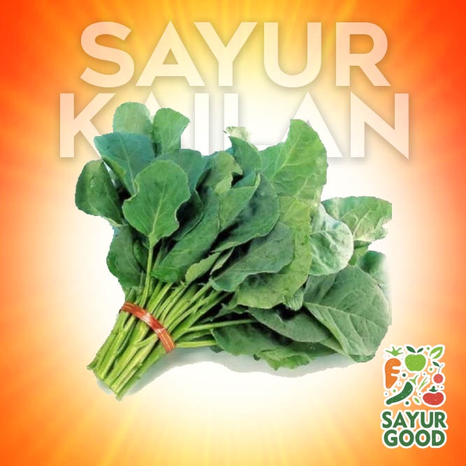 

Sayur Kaylan / Kailan / Baby Kaylan / Ikat (Sayur Segar)