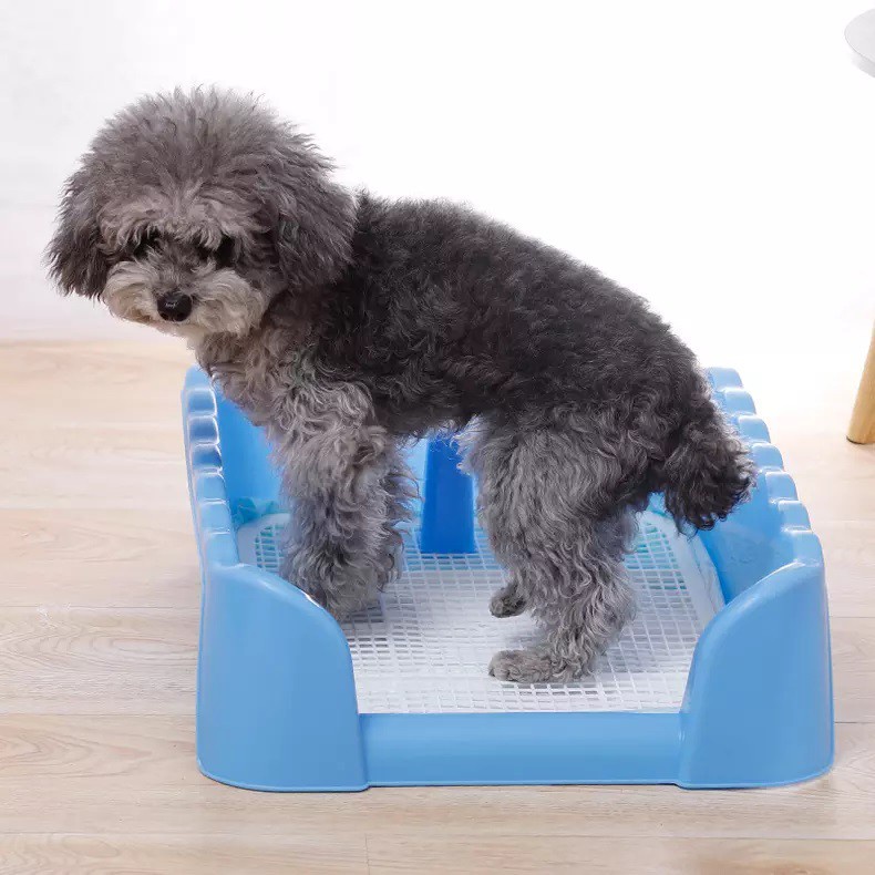 Toilet Pet Pee Tray Anjing