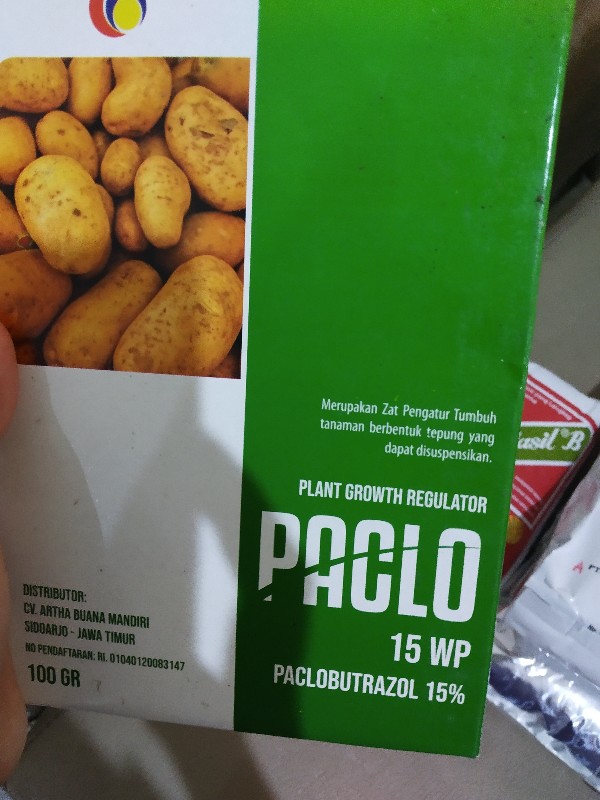 Zpt Paclobutrazol Paclo 15wp Perangsang Buah Bunga Diluar Musim Dan Pembesar Umbi Porang Kentang