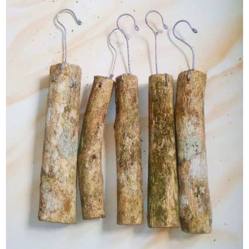 media tanam anggrek kayu kopi - media tanam anggrek gantung kayu kopi