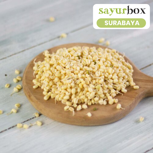 

Tauge Kecambah Conventional 250 gram (Sayurbox) - SURABAYA