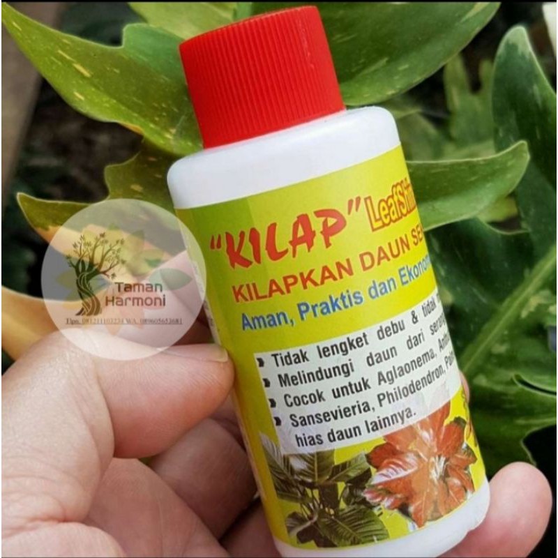 Vitamin Pengkilap Daun Tanaman Hias