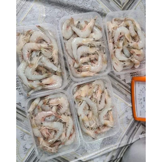

Pe he / udang putih​ 500gram / 1/2kg​ frozen ikan2 seger laut panipahan