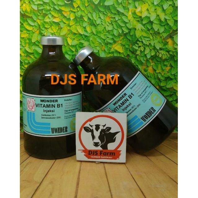 Vitamin B1 Wonder 100ml vitamin Penggemuk hewan ternak  sapi kambing kerbau babi unggas djs farm