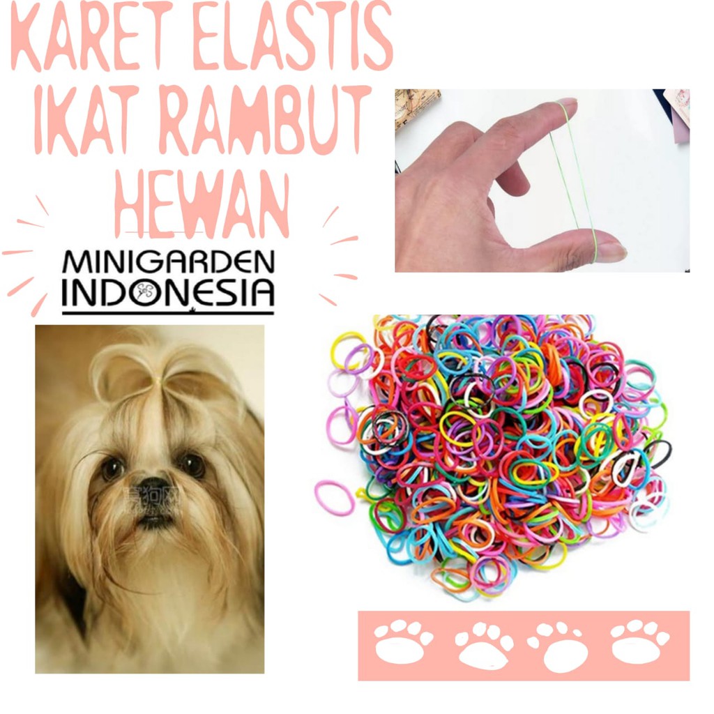 KARET ELASTIS IKAT RAMBUT BULU HEWAN anjing kucing pet accessories karet gelang latex hair band