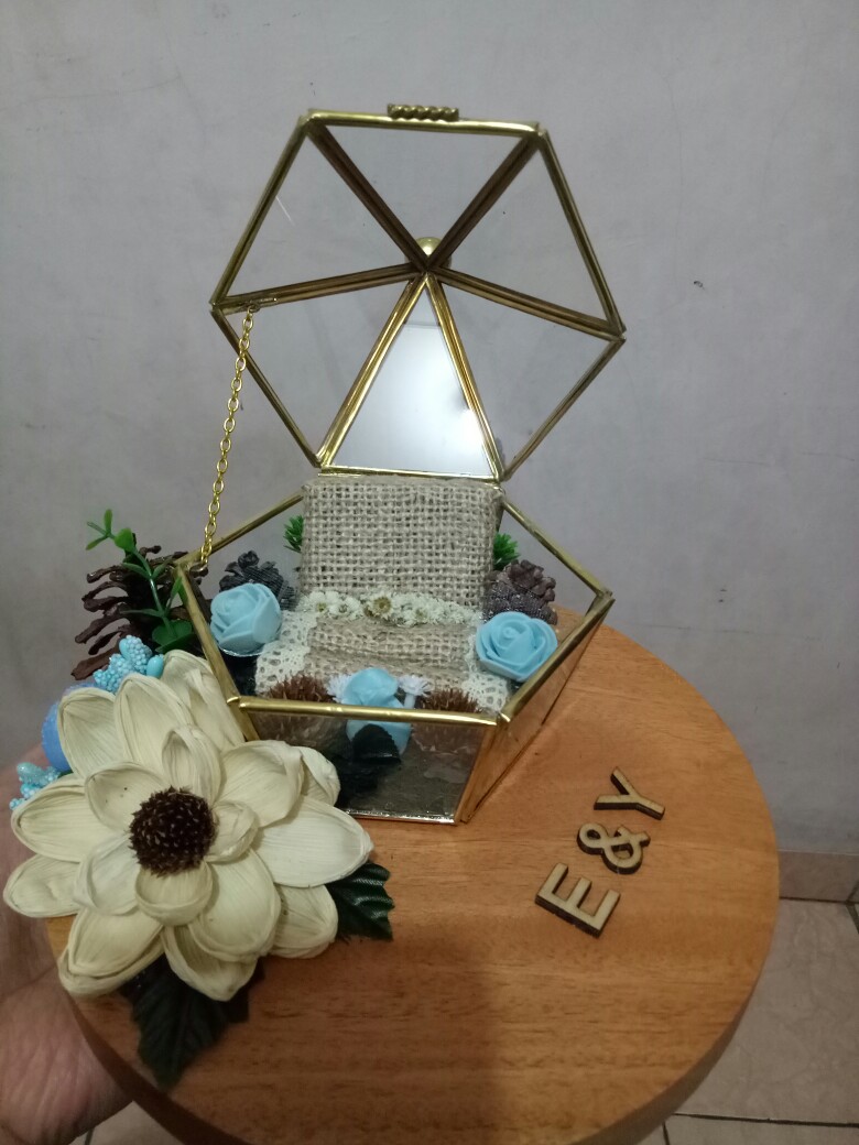 Ring Box Terrarium S6 Pentul 2in1