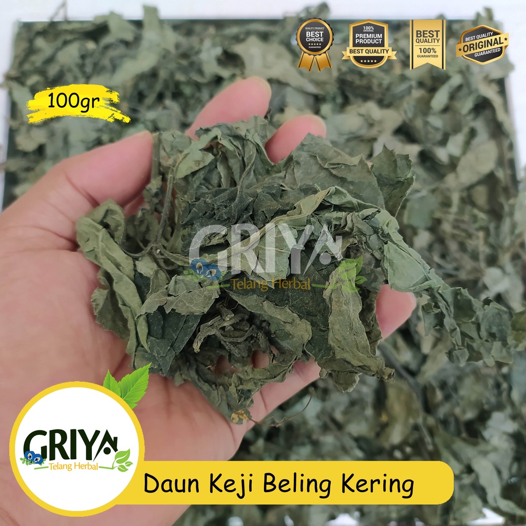 

Daun Keji Beling/Pecah Beling Kering 100gr