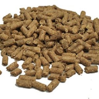 Image of thu nhỏ VITAL RABBIT 1 kg / pakan kelinci / makanan hewan / dry food #7