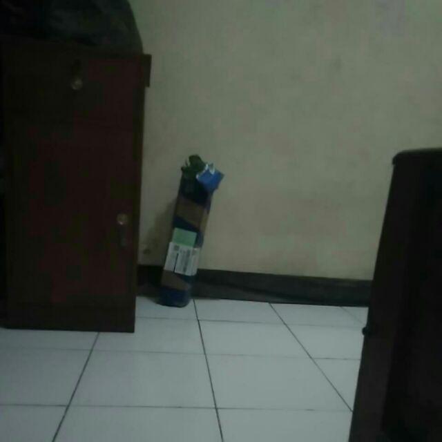 @_@ Bibit Tanaman Bunga Mawar 10 Pohon / 1 Paket Terbaik