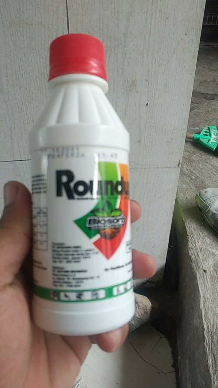 Roundup Round Up 486 Sl Pembasmi Rumput 200ml