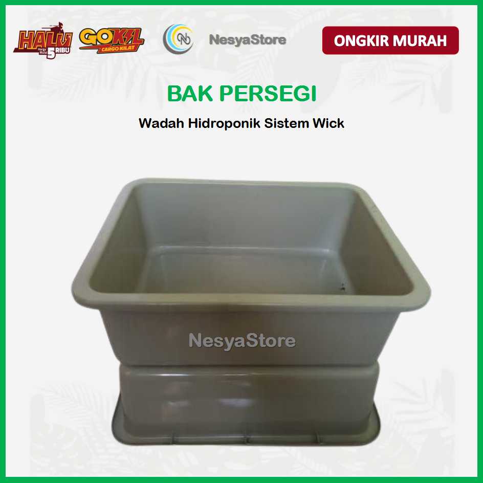 Bak Hidroponik Sistem Wick 38cm x 30cm x 13cm