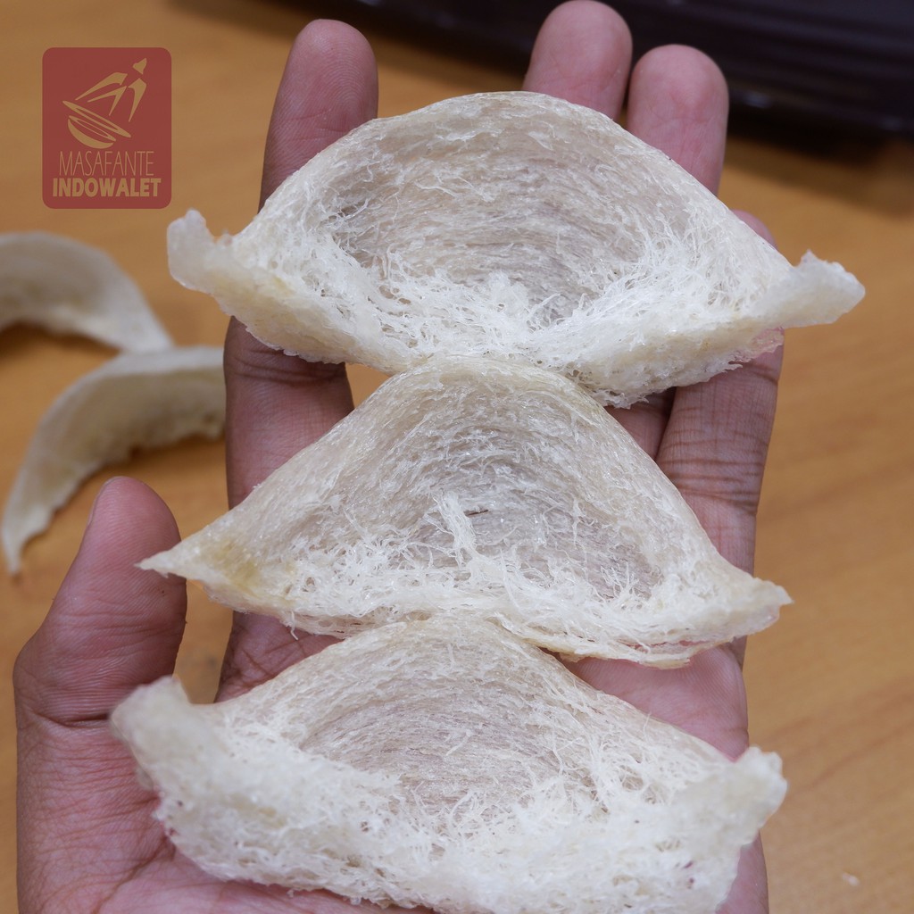 

Sarang Walet Mangkok AAAA Cabut Kering (Gan Tiao) 50 gr Kualitas Ekspor