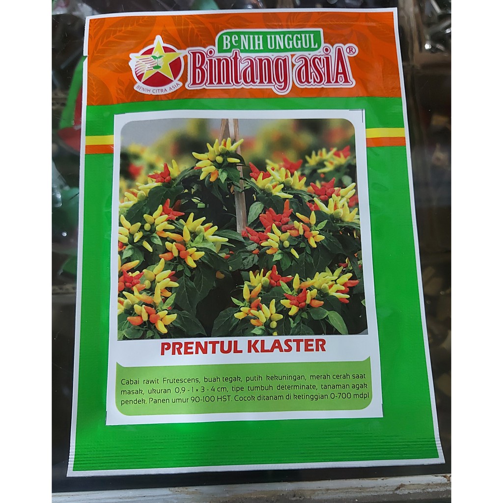 Benih Cabe Prentul Claster Bintang Asia Isi 10gr
