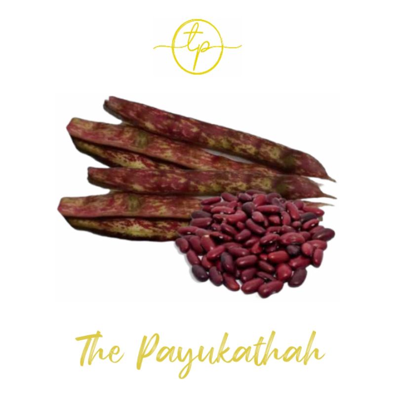 

Kacang Merah / Kacang Jogo Kulit Super Fresh Murah