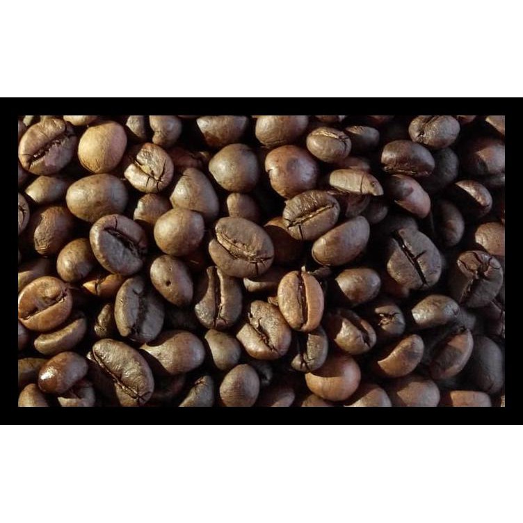

Kopi Robusta Sidikalang - Biji / Bean Terbaru