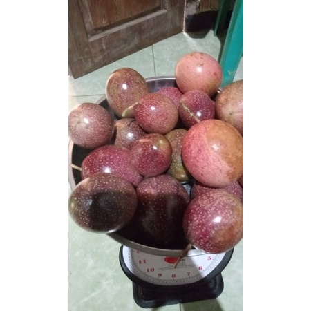 

BUAH MARKISA UNGU 1KG