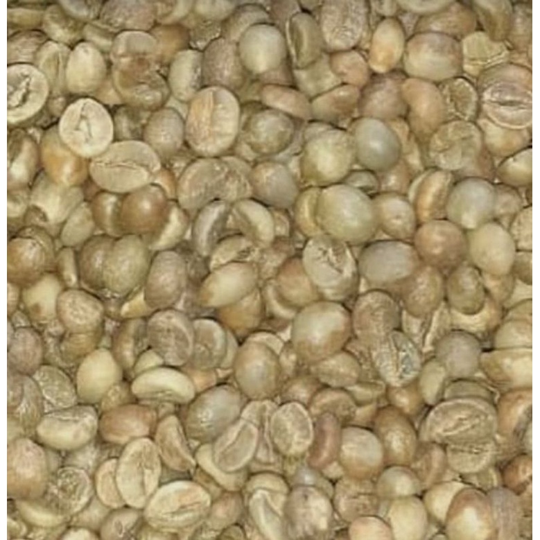 

green beans robusta pasuruan