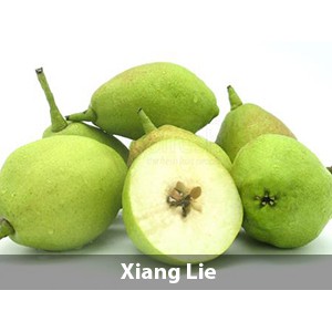 

Pir Xiang Lie 1 kg