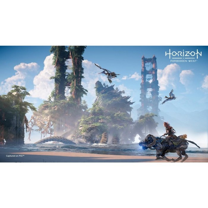 PS5 Horizon Forbidden West Special Edition