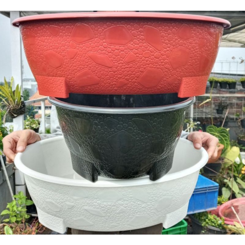 Pot bonsai oval 10, panjang 50 cm, pot panjang besar Teracota