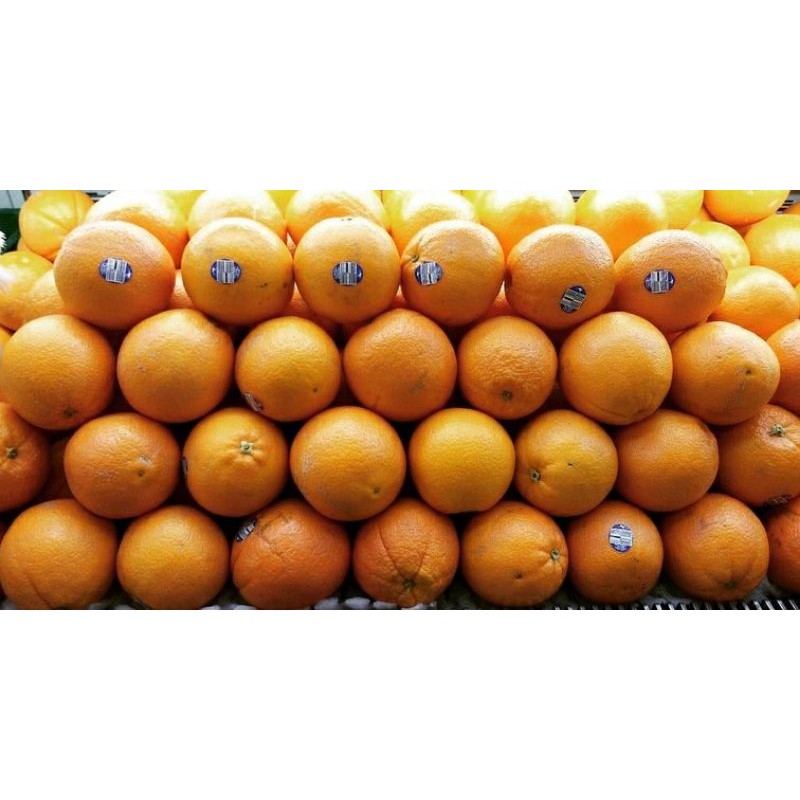 

Gudang Sayur - Jeruk Sunkist 1 KG