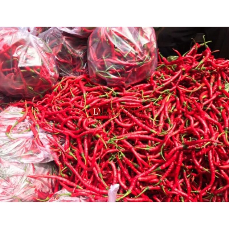 cabai  keriting merah  fresh 500gr