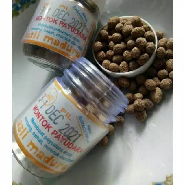 JAMU MONTOK PAYUDARA
