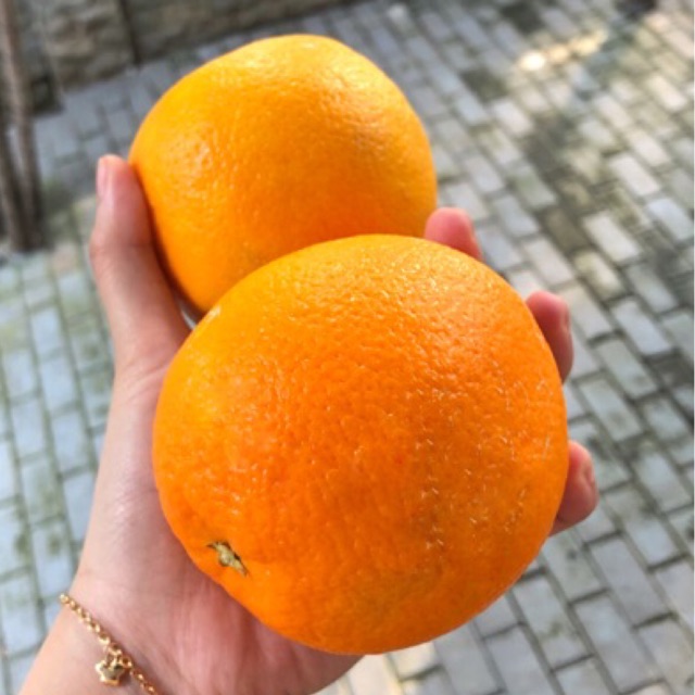

Sunkist Navel