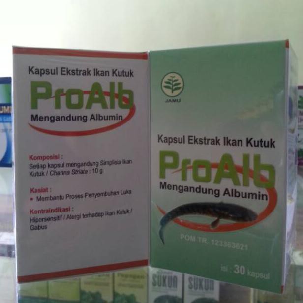 

Original!! Obat Luka Mempercepat Pemulihan Pasca Operasi Herbal Ikan Gabus/Kutuk Alami-Proalb